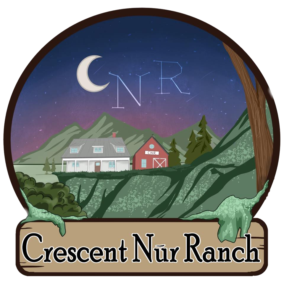 CNR Logo